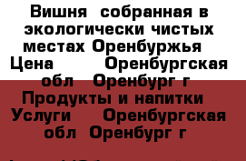 Вишня, собранная в экологически чистых местах Оренбуржья › Цена ­ 40 - Оренбургская обл., Оренбург г. Продукты и напитки » Услуги   . Оренбургская обл.,Оренбург г.
